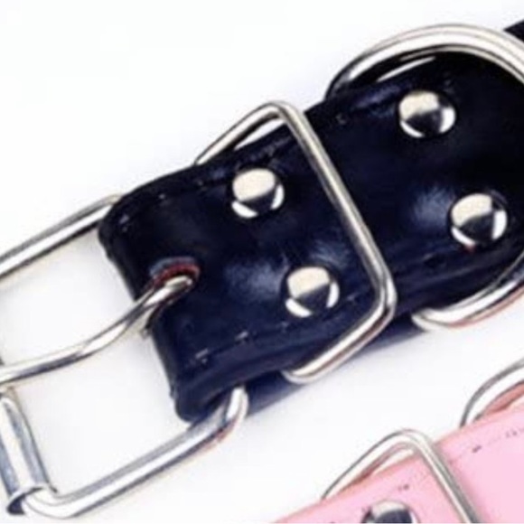 Give your Dog some BLING! - Picture 2 of 7